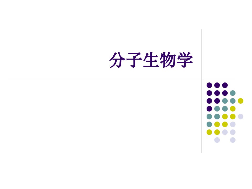 分子生物学2