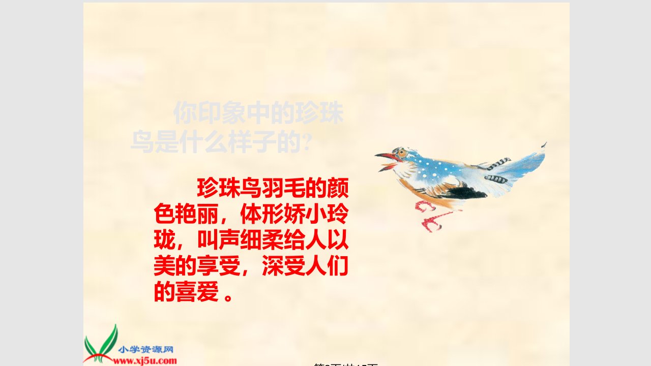 珍珠鸟实用学习