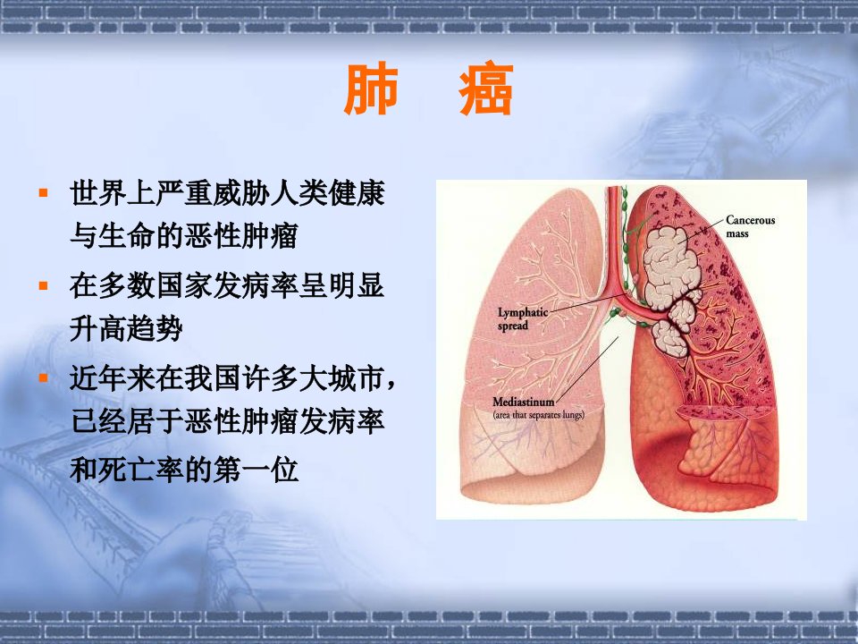 非小细胞肺癌常用化疗方案ppt课件