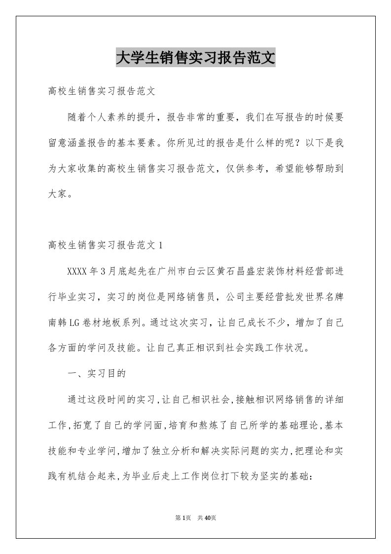 大学生销售实习报告范文例文