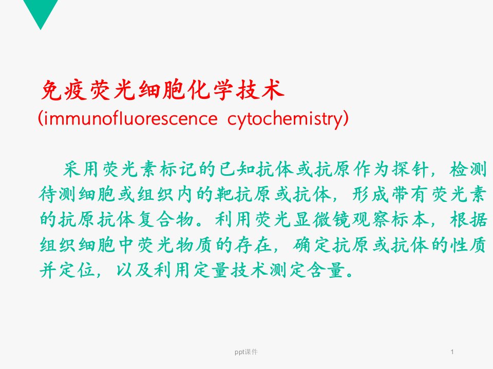 免疫荧光细胞化学技术ppt课件