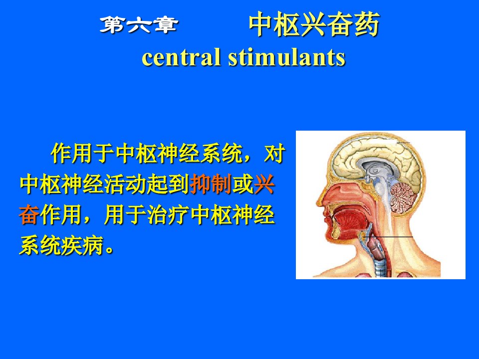 第六章中枢兴奋药