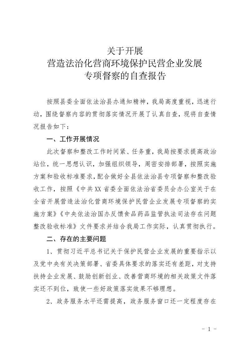 关于开展营造法治化营商环境保护民营企业发展专项督察的自查报告