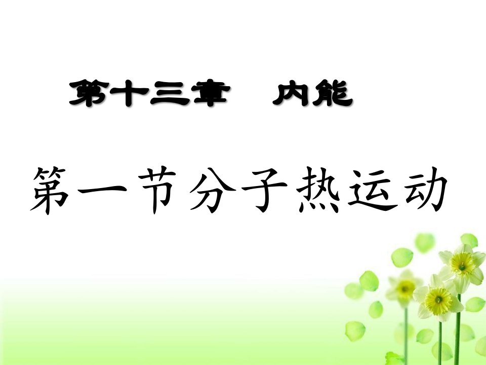 人教版初中物理九年级全册第十三章第一节《分子热运动》ppt课件