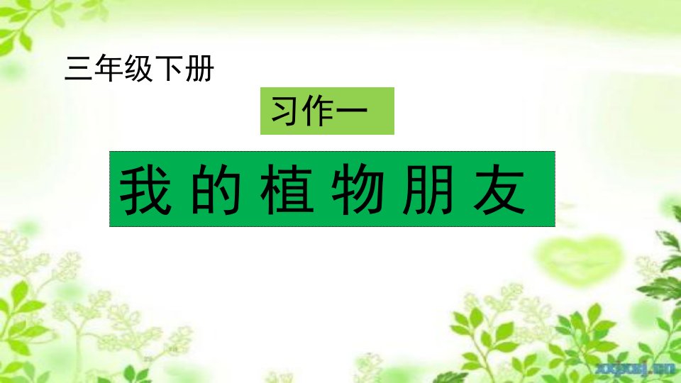 部编版人教版小学三年级语文下册《我的植物朋友》精品教学课件