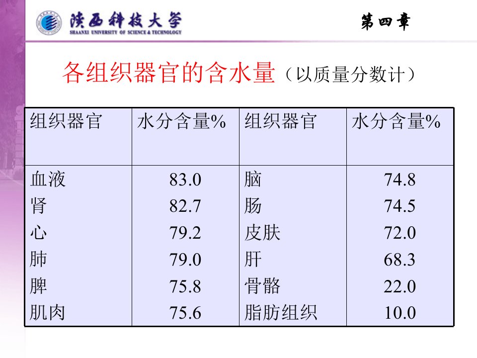 水与矿物质ppt课件