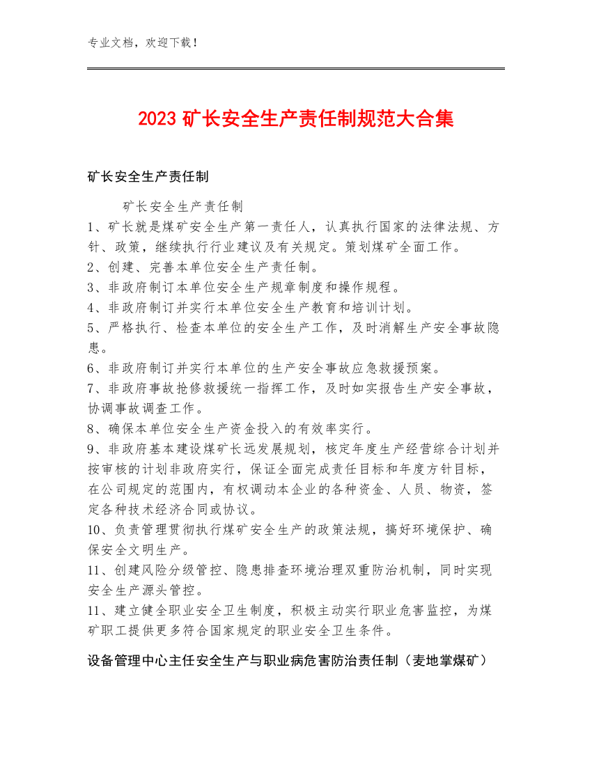 2023矿长安全生产责任制规范大合集