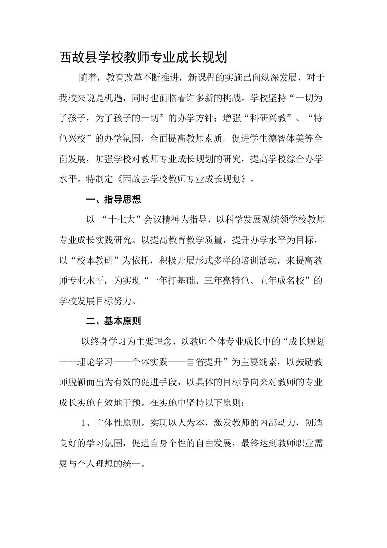 城东中心学校教师专业成长三年规划