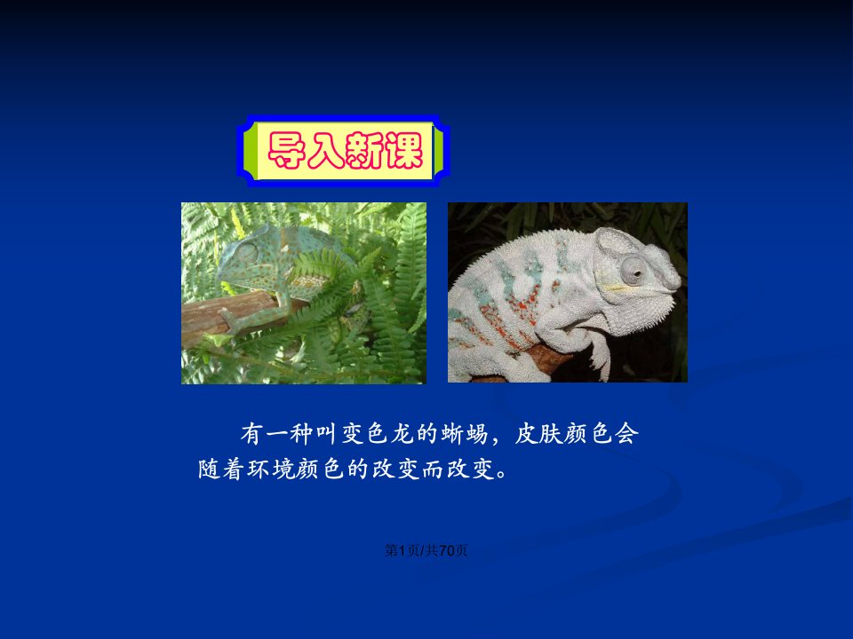 7.变色龙契诃夫课件