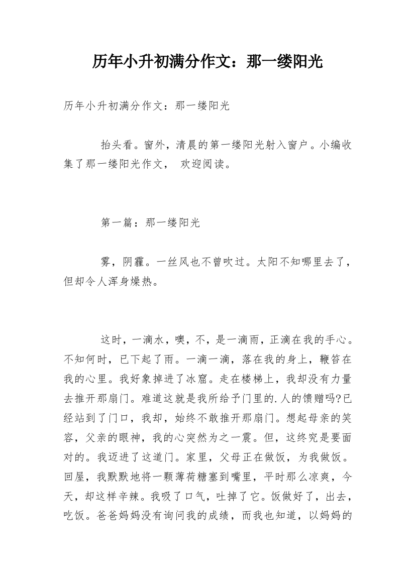 历年小升初满分作文：那一缕阳光