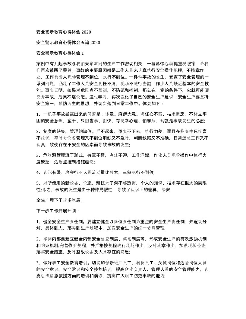 安全警示教育心得体会2020