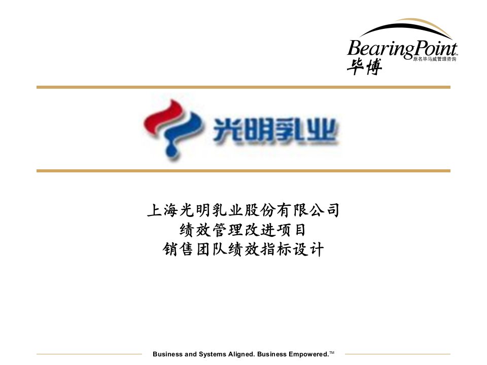 [精选]上海光明乳业股份有限公司绩效管理改进项目销售团队绩效指标设计