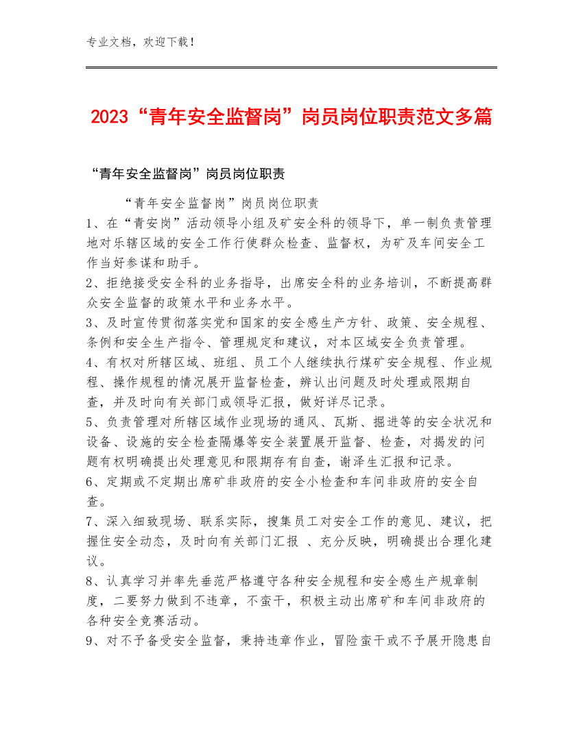 2023“青年安全监督岗”岗员岗位职责范文多篇