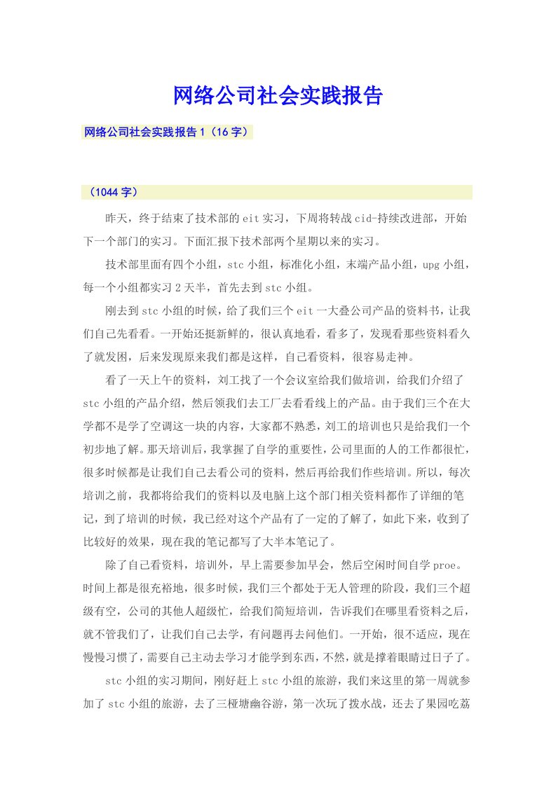 网络公司社会实践报告