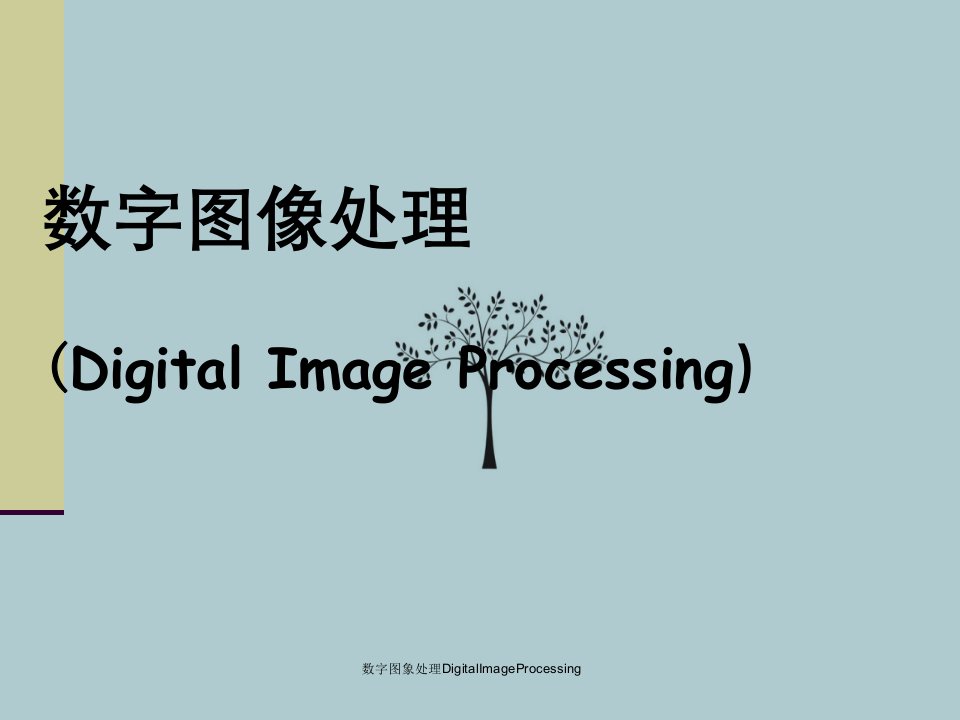 数字图象处理DigitalImageProcessing