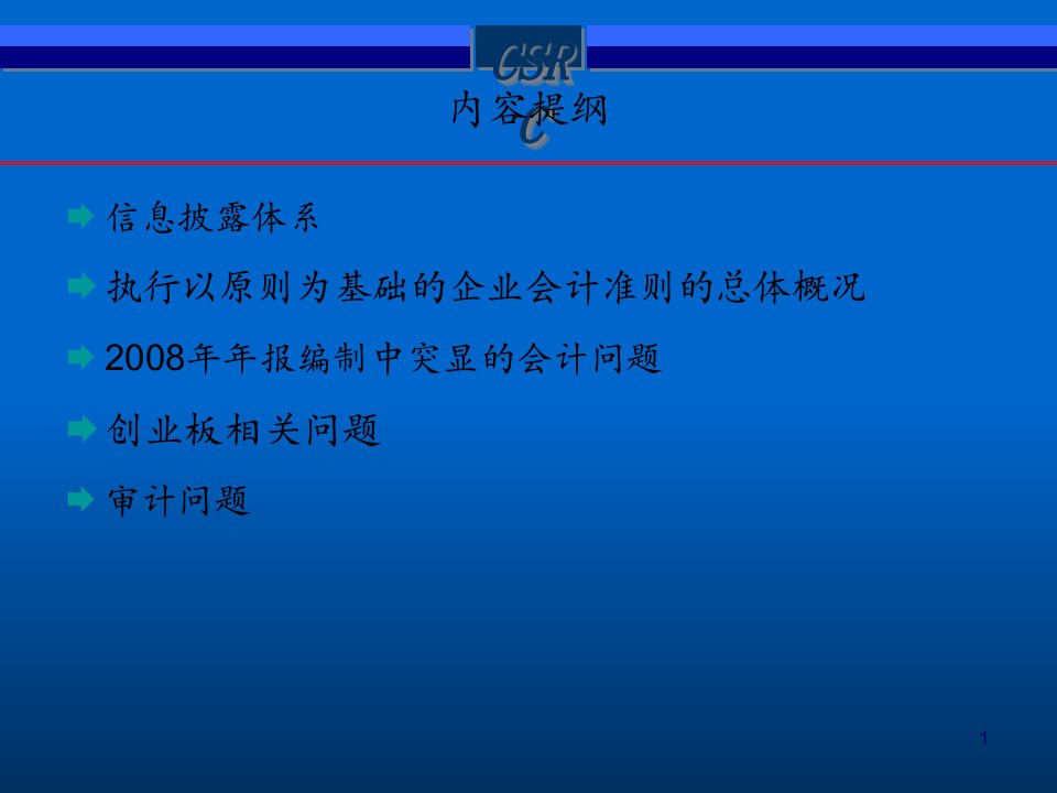 上市公司会计信息披露及审计问题讲解20页PPT