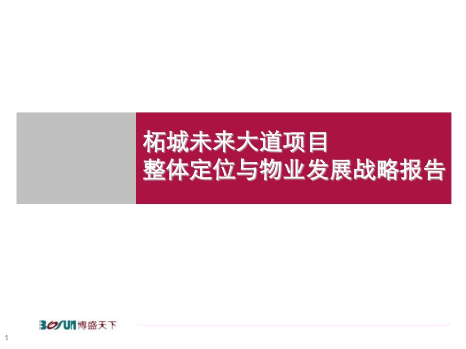 柘城未来大道项目整体定位及物业发展战略0906