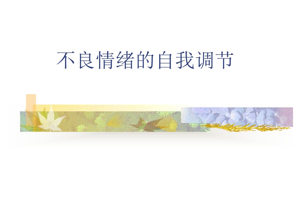 不良情绪的自我调节ppt课件