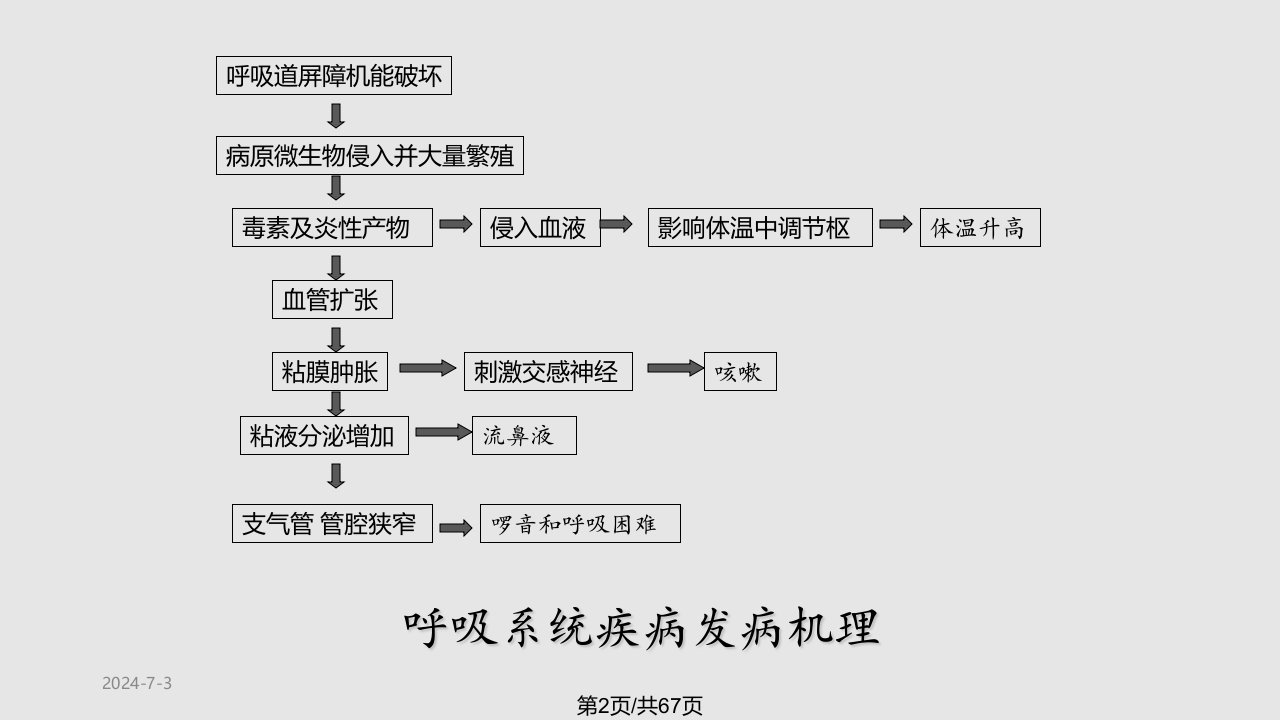 兽医内科学呼吸系统疾病