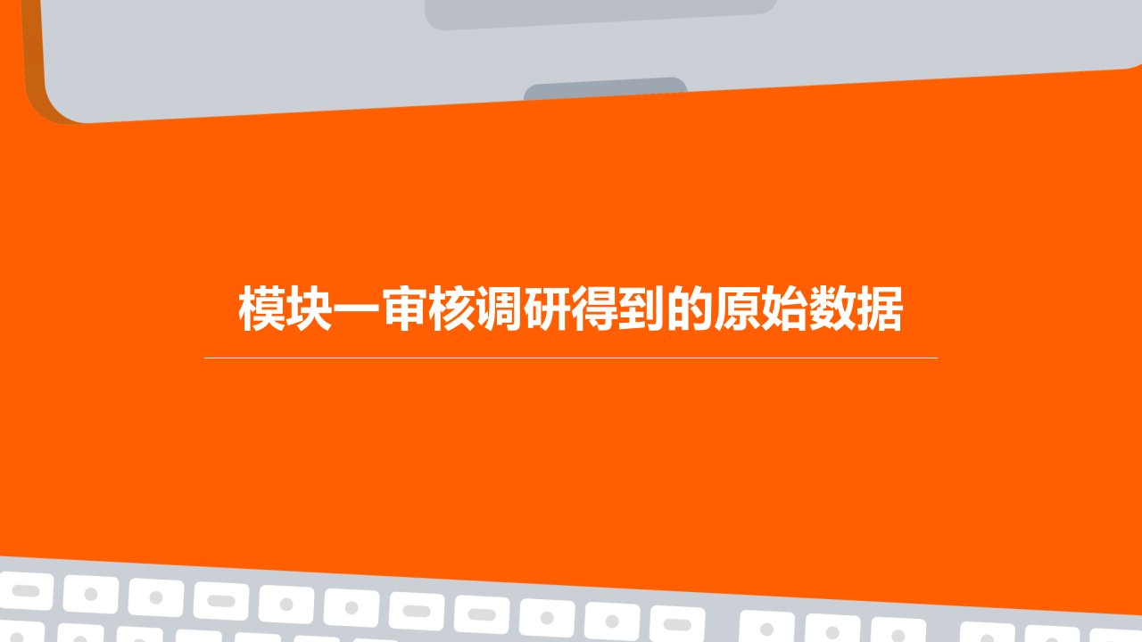 模块一审核调研得到的原始数据