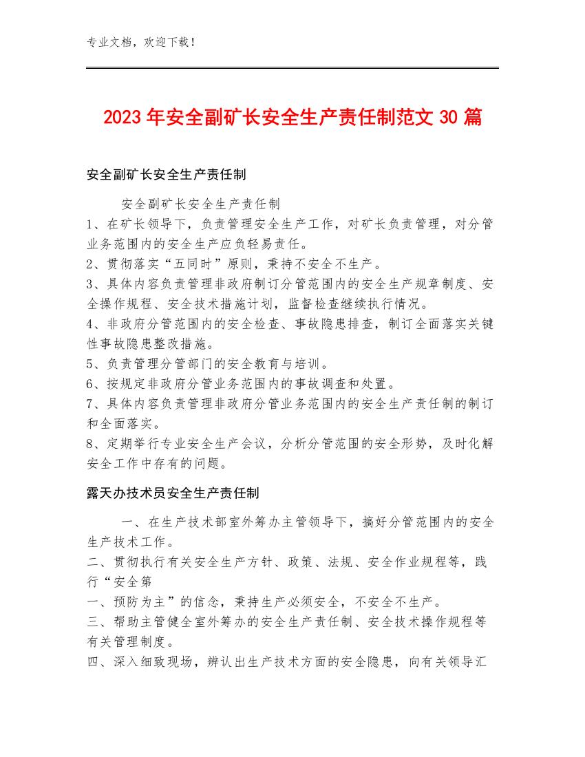 2023年安全副矿长安全生产责任制范文30篇