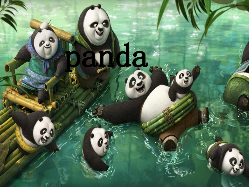 熊猫英语Panda