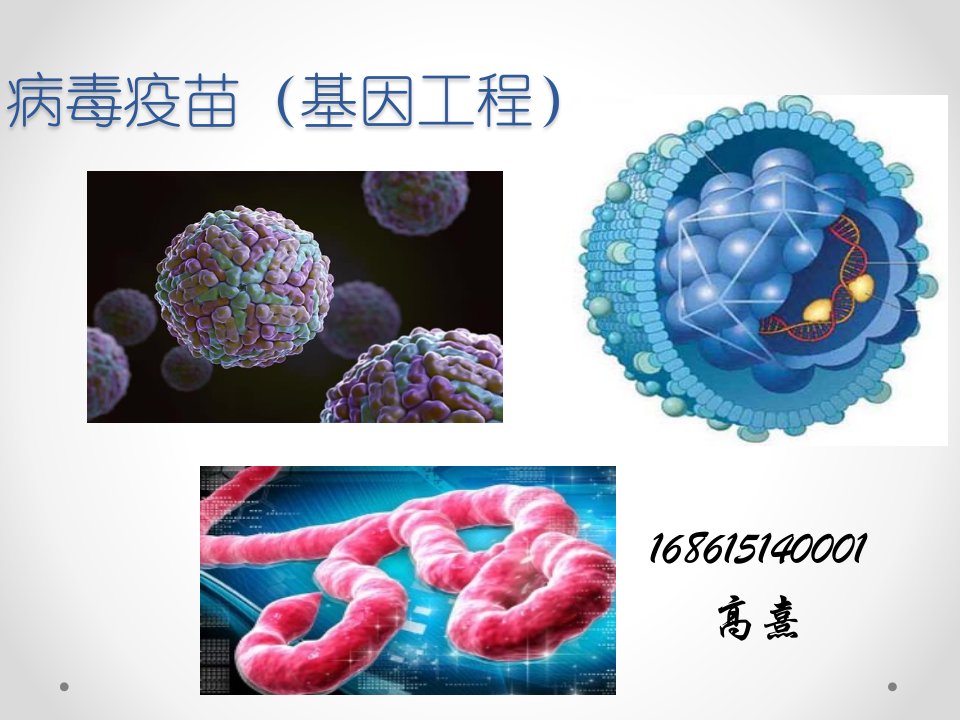 病毒疫苗(基因工程)ppt课件