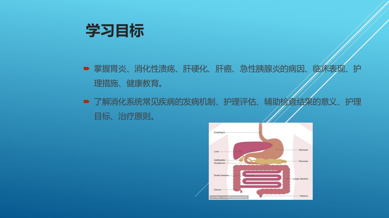 内科护理学第三章136课件