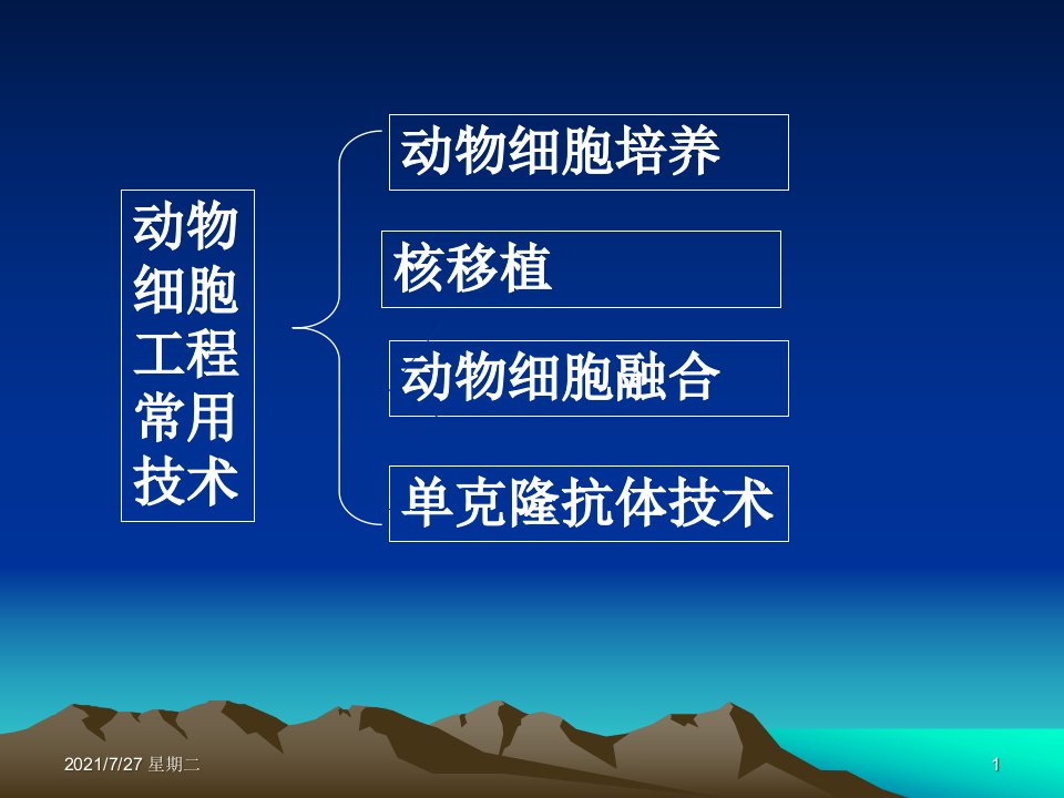 齐鲁医学细胞工程PPT