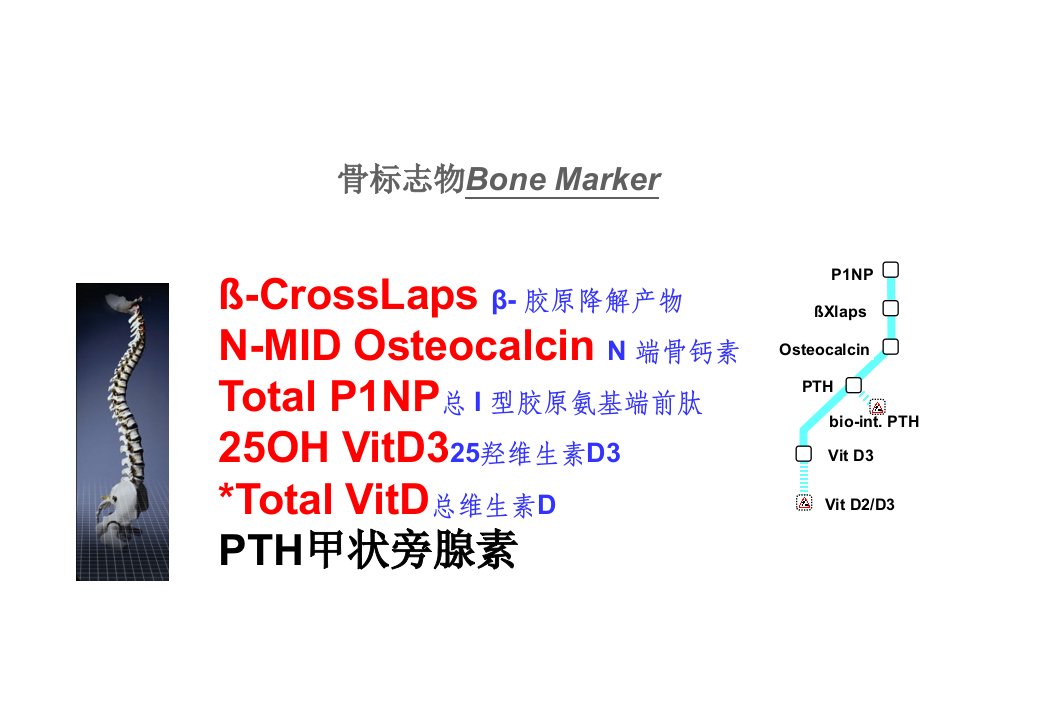 骨标志物临床应用
