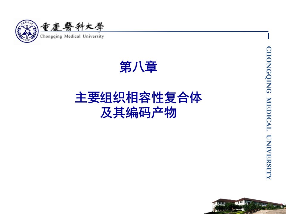 主要组织相容性复合体及其编码产物概述