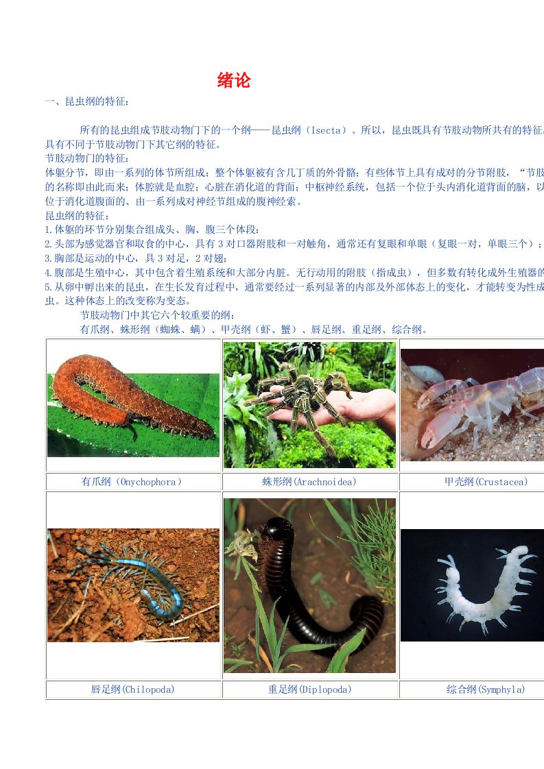 植物保护学电子讲义