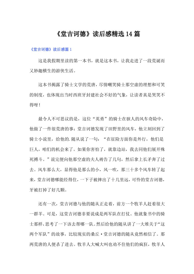 《堂吉诃德》读后感精选14篇