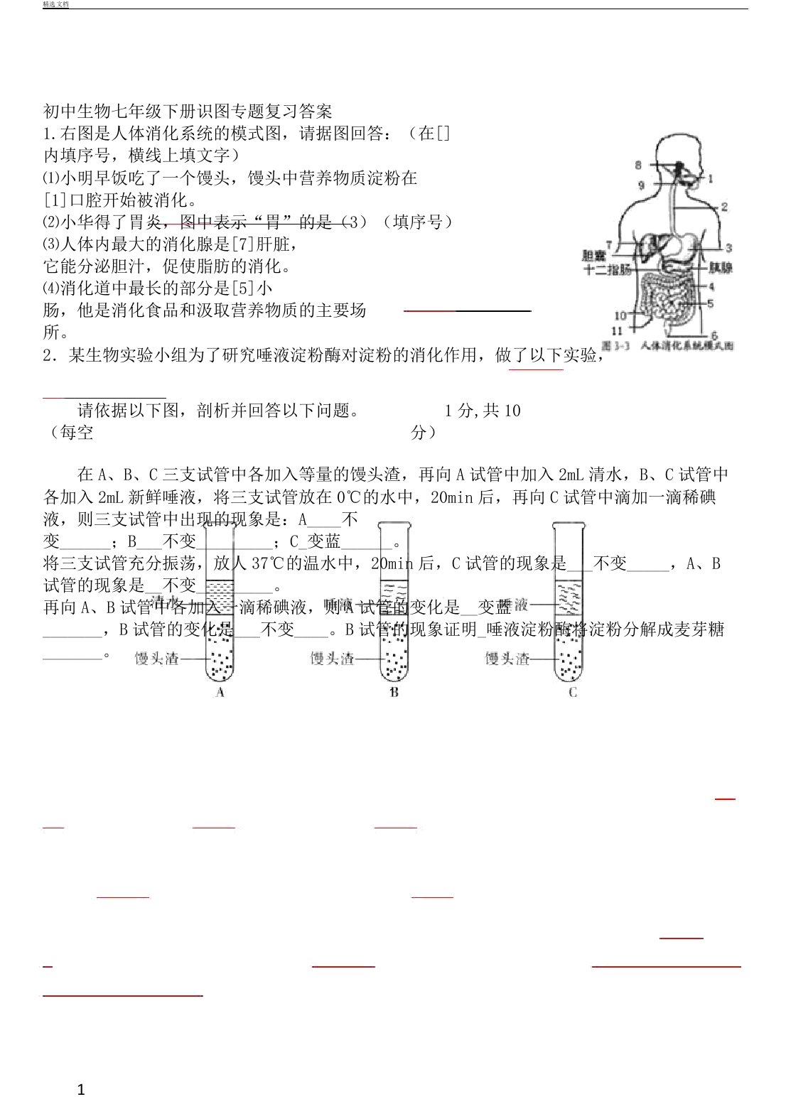 初中生物七年级下册识图专题复习计划答案