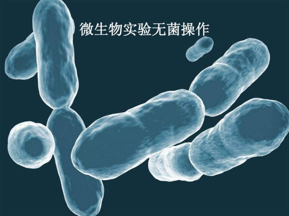 微生物无菌操作技术PPT培训课件