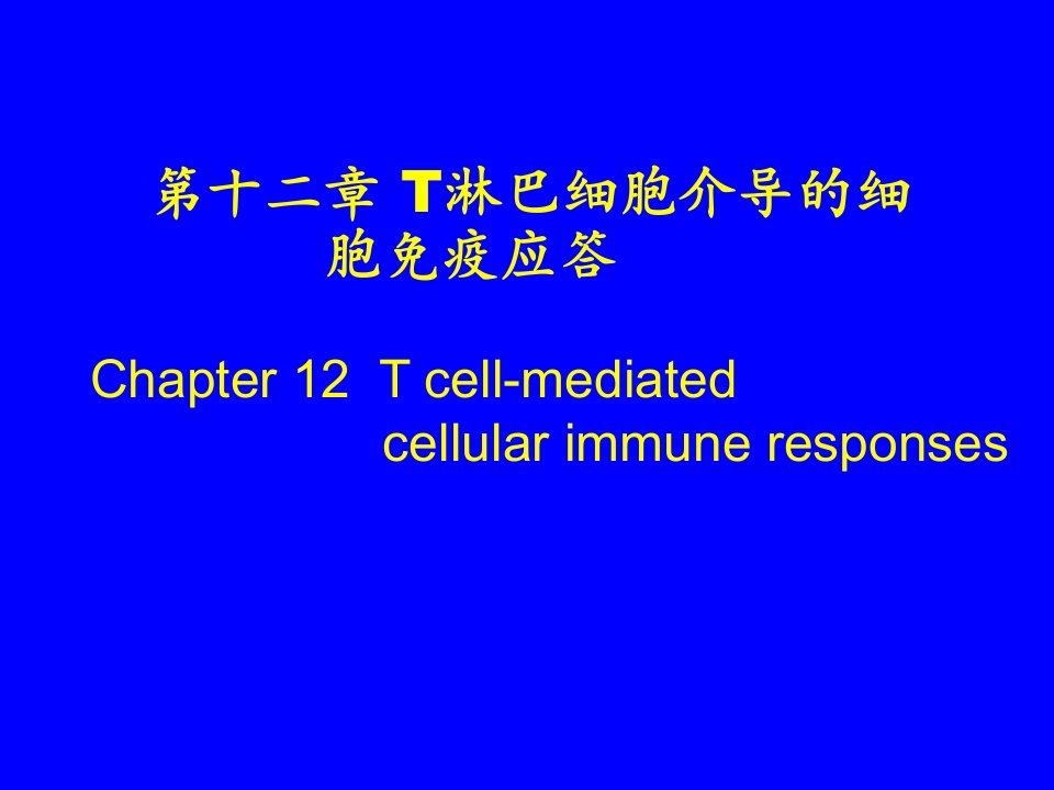 T淋巴细胞介导的细胞免疫应答