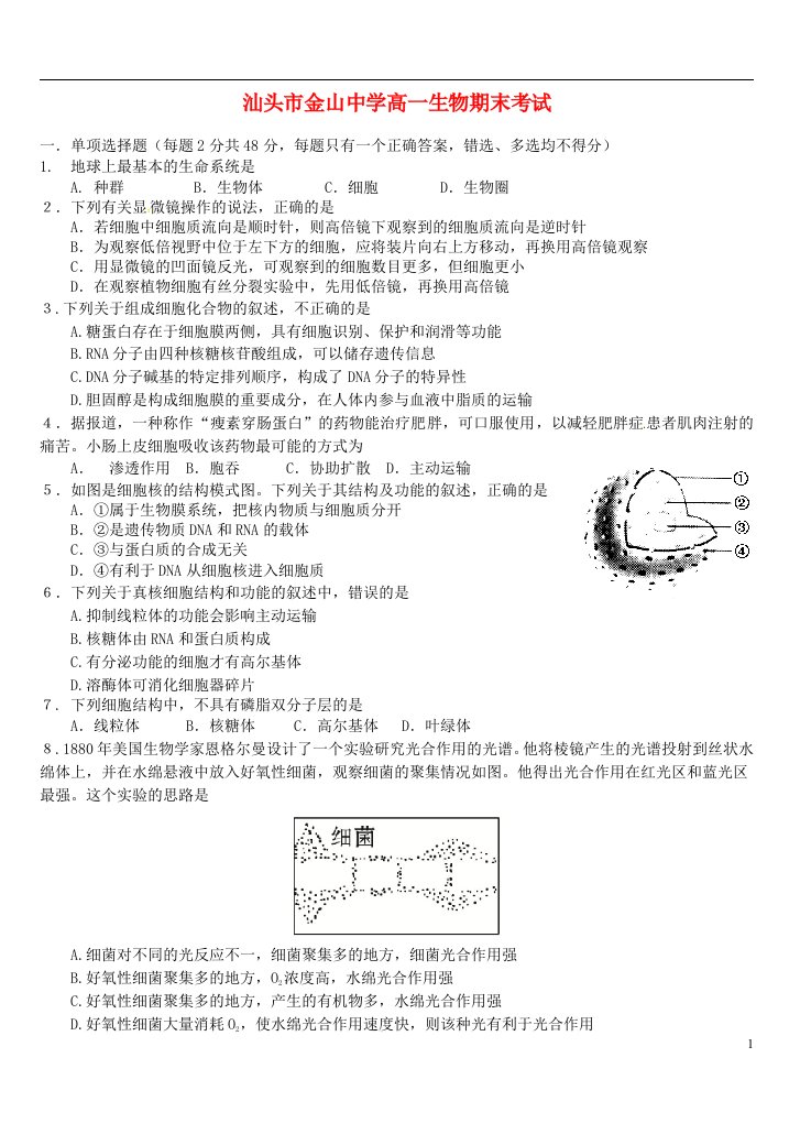 广东省汕头市金山中学高一生物上学期期末考试试题