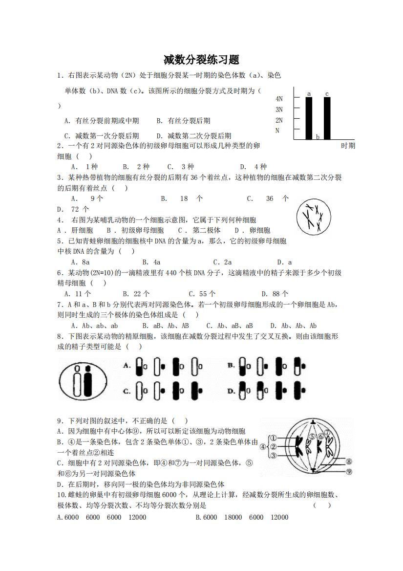 减数分裂练习题(精品文档)-共3页