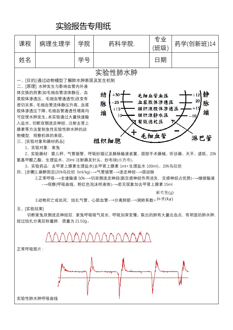 实验性肺水肿