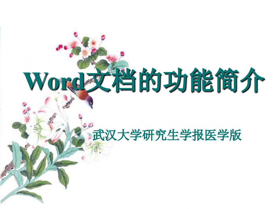 Word文档的功能简介