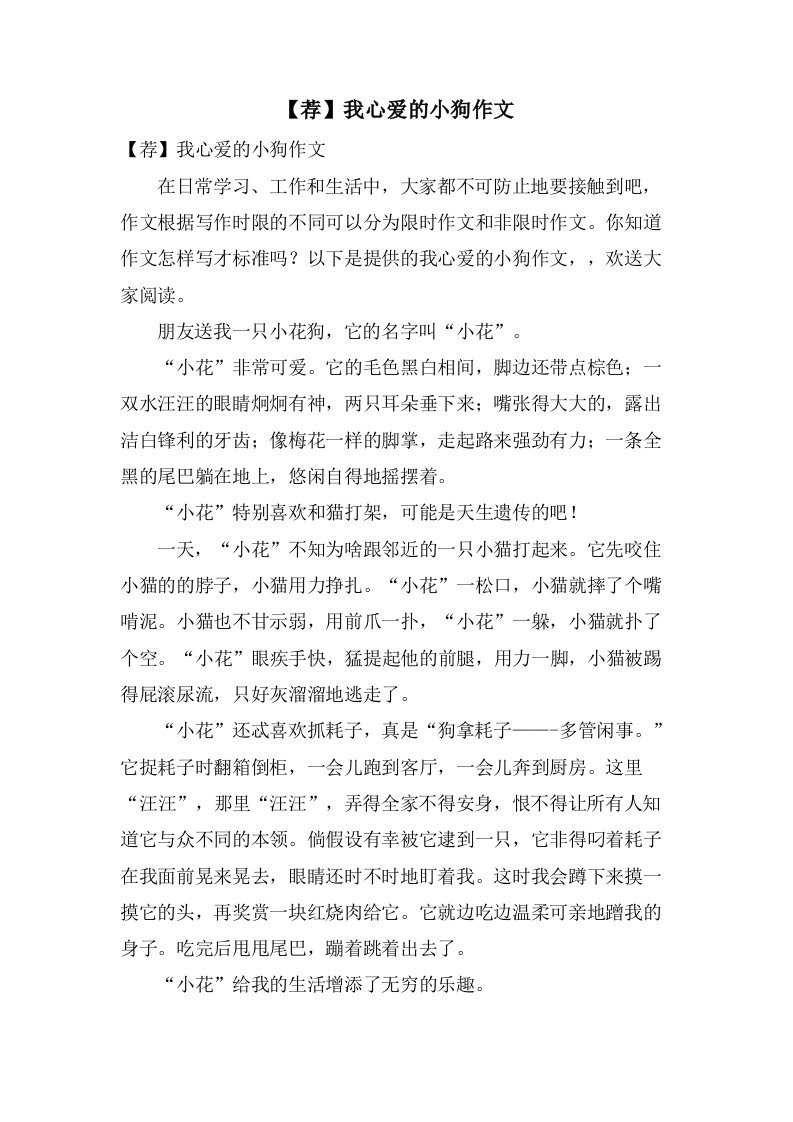 我心爱的小狗作文