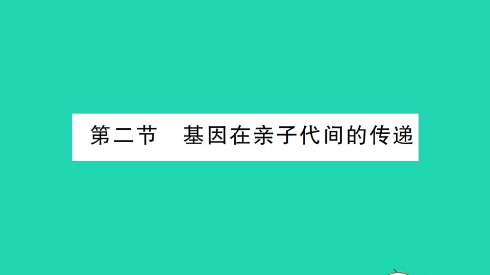 八年级生物下册第七单元生物圈中生命的延续和发展第二章生物的遗传和变异第二节基因在亲子代间的传递作业课件新版新人教版