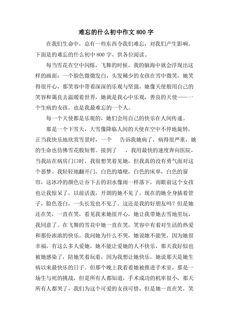 难忘的什么初中作文800字