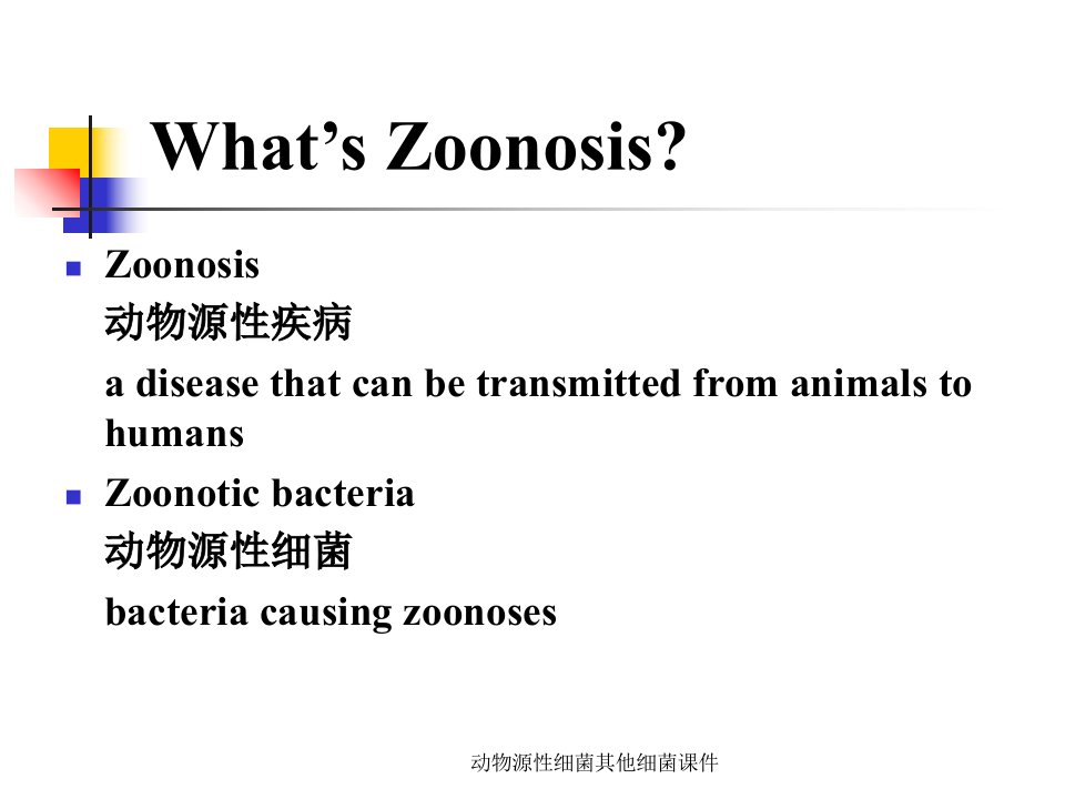 动物源性细菌其他细菌课件