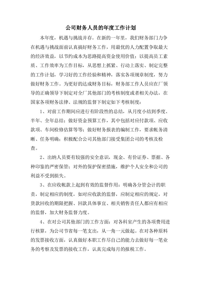 公司财务人员的年度工作计划