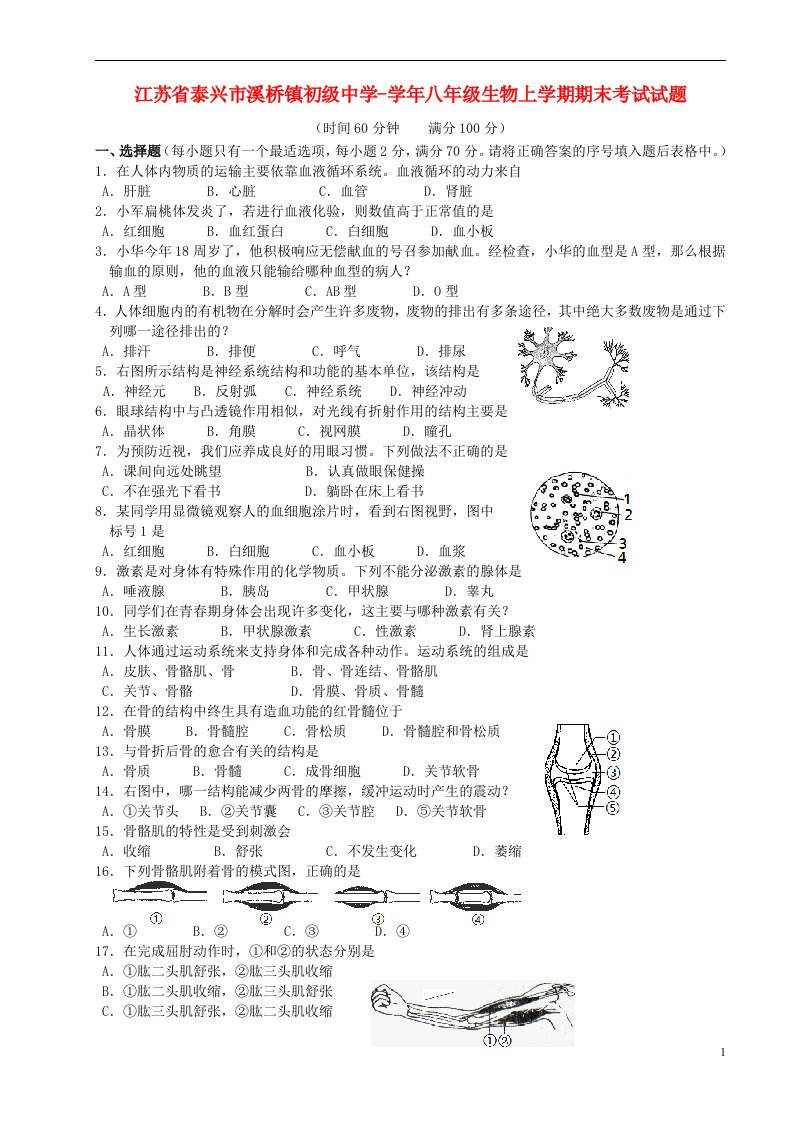 江苏省泰兴市溪桥镇初级中学八级生物上学期期末考试试题