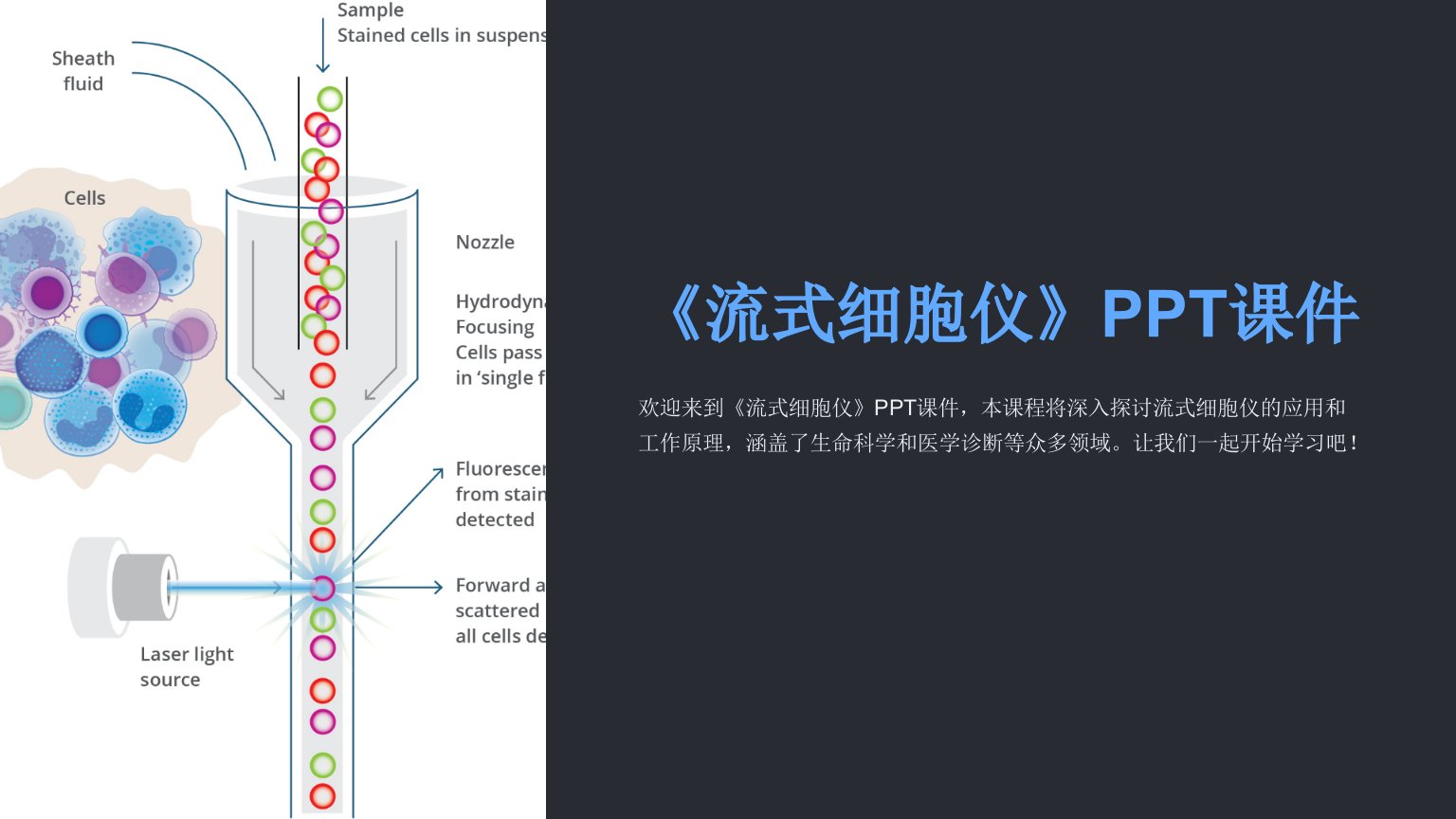 《流式细胞仪》课件