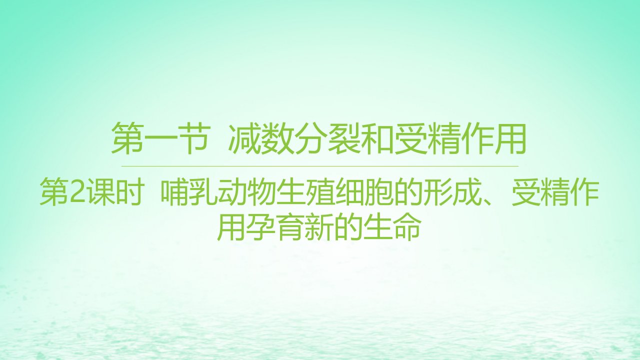 江苏专版2023_2024学年新教材高中生物第一章遗传的细胞基础第一节减数分裂和受精作用第2课时哺乳动物生殖细胞的形成受精作用孕育新的生命课件苏教版必修2