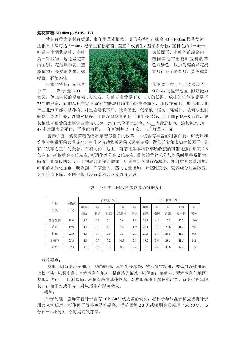 紫花苜蓿种植方式说明书