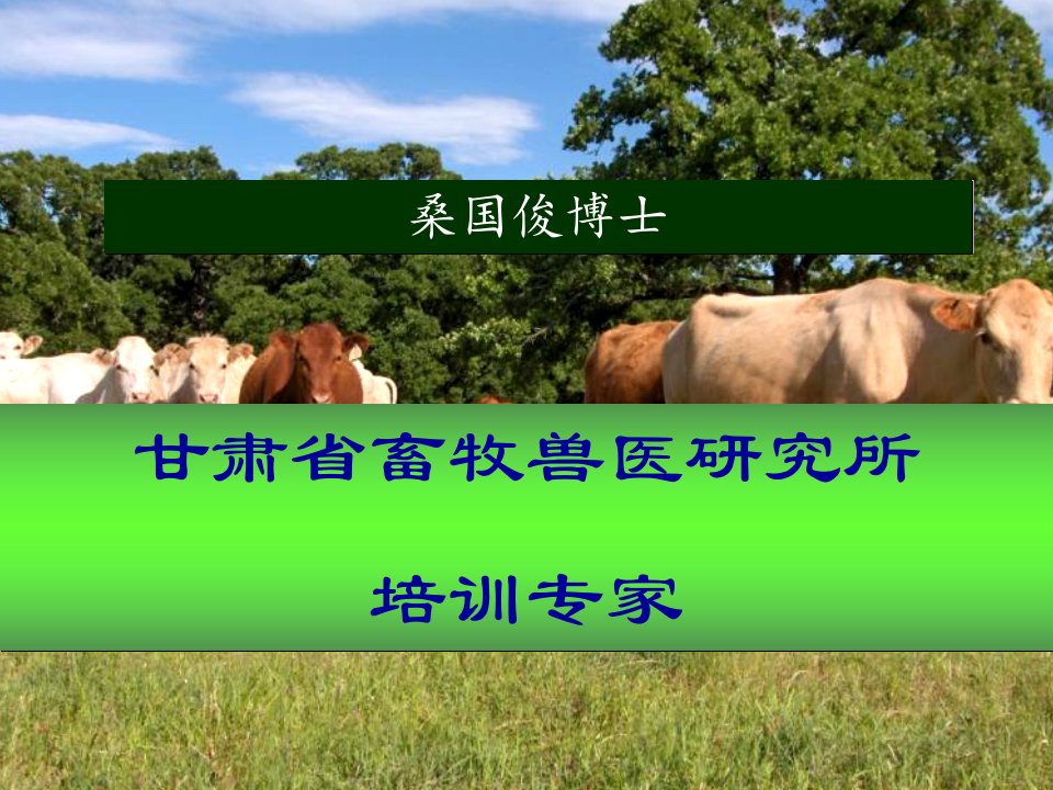 桑国俊肉牛产业技术培训肉牛饲养管理技术